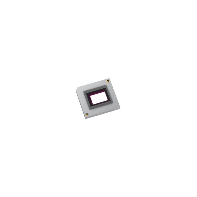 DLP800REA0FYV Texas Instruments