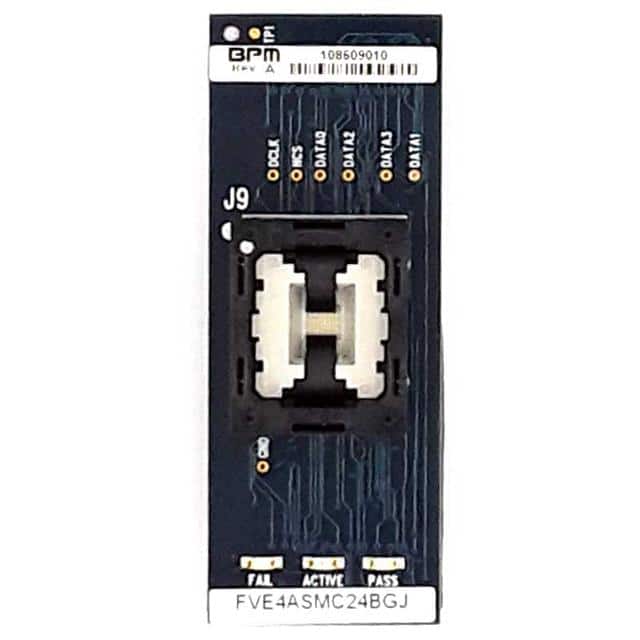 FVE4ASMC24BGJ BPM Microsystems